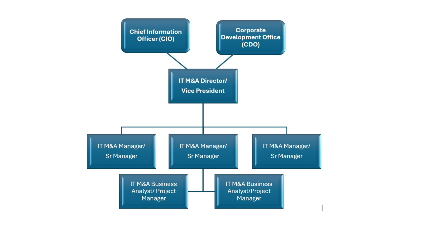 IT M&A Team Organization Structure
